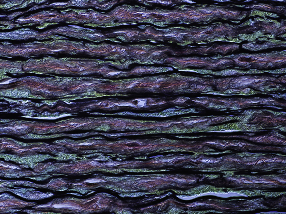 Lamellar Unit